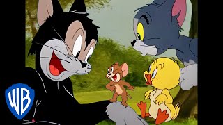 Tom amp Jerry  Best Side Characters  Classic Cartoon Compilation  WB Kids [upl. by Lorre]