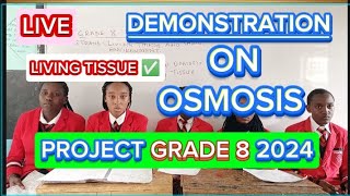 How To Demonstrate Osmosis In Living TissuesScience Grade 8 Project 2024 [upl. by Notsniw398]