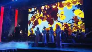 Enya Songs Concert Vilnius Christmas 2013 part 03 [upl. by Hrutkay]