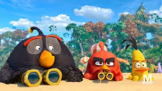 The Angry Birds Movie 2  Maldonado Network Intro  Premiere [upl. by Nilre509]