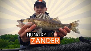 This ZANDER was really HUNGRY Likely got the same fish twice [upl. by Liesa]