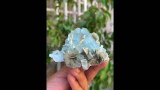 Blue AquamarineCrystals  MuscoviteMic  AquamarineSpecimen  FineMineral [upl. by Ecertak928]