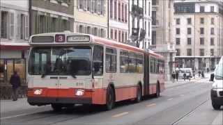 tpg Genève NAWHess und SaurerHess Trolleys März 2014 [upl. by Hepza250]