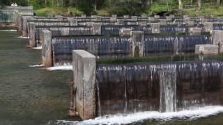 South Holston Weir Dam [upl. by Ahsinad]