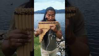 The Sound Of Silence 🤫  El Sonido del Silencio  Instrumental Version Pan Flute  Andean Music [upl. by Nirel]