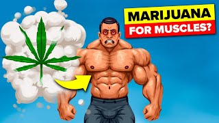 Effects of Weed on Building Muscle  The Workout Show [upl. by Kariotta568]