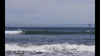 Bolinas Dreams 622022 Surfing [upl. by Malinde]