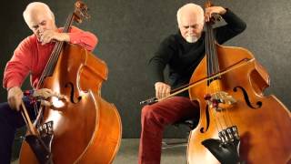 Flight of the BumbleBee for two Double Basses [upl. by Babita]