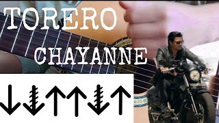 Como tocar Torero de Chayanne tutorial de guitarra [upl. by Jacobo]