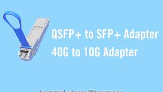 10Gtek QSA QSFP to SFP Adapter [upl. by Gaelan]