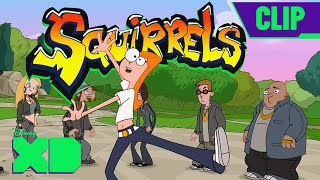 Candace Gets Squirrels in her Pants 🐿  Phineas and Ferb  Full Scene  disneyxd​ [upl. by Esinaj]