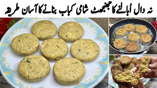 شامی کباب بنانے کا سب سے بہترین اورآسان طریقہ  Perfect Shami Kabab Recipe  Chicken Shami Kabab [upl. by Arlinda]