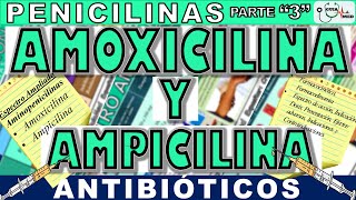 AMOXICILINA PARA QUE SIRVE ESTE MEDICAMENTO AMOXICILINA Y AMPICILINA  GuiaMed [upl. by Loferski49]