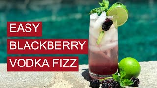 Blackberry Vodka Fizz  Easy Cocktail Recipe [upl. by Nuoras]