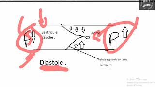Hémodynamique cardiaque [upl. by Jenny665]