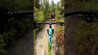 SISKIU T VS SISKIU T polygonbike downhill mtb mountainbike music beats gowes mountainbiking [upl. by Halfon917]