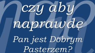 quotCzy aby naprawdę Pan jest Dobrym Pasterzemquot Ks Piotr Pawlukiewicz [upl. by Gannon]