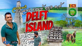 Delft Island  උතුරු කරයේ ලොකුම දූපතේ පුදුම තැන්  Jaffna  Sri Lanka  நெடுந்தீவு Travel Vlog 118 [upl. by Bertold506]