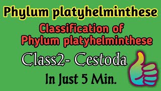 Classification of Phylum PlatyhelmintheseCestoda ClassificationGeneral Characteristics of Cestodes [upl. by Drucy]