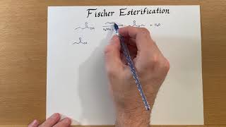 Fischer Esterification [upl. by Humbert]