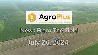 AgroPlus News from the field July 26 2024 [upl. by Elkcim]