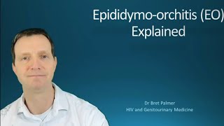 Epididymoorchitis EO explained 49 [upl. by Ipoillak]