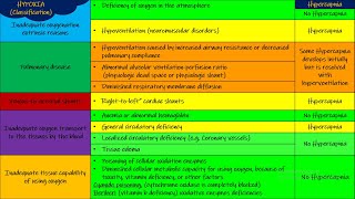 Hypercapnia Respiratory Physiology Chapter 43 part 8 Guyton and Hall Physiology [upl. by Ardnasxela]