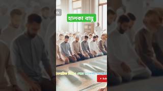 হালকা বায়ুFacebook wwwfacebookcomIslamicMusic01islamik biral story sikhane comidahistory [upl. by Laehpar]