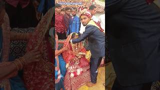 Karhu Main Tere Sang Bihaav  Cg Song Viral  shorts cgsong love sadi bihav marriage viral [upl. by Follansbee]