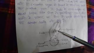 B Sc zoology 1 year Appendages of prawn part1 [upl. by Laerdna134]