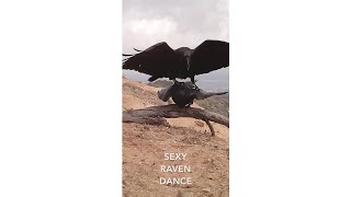 Sexy Raven Dance  Youtube shorts [upl. by Lipman488]