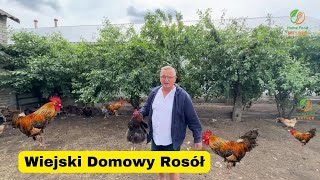 🍲 Domowy Rosół Wiejski z Makaronem Domowej Roboty 🍲 [upl. by Hceicjow36]