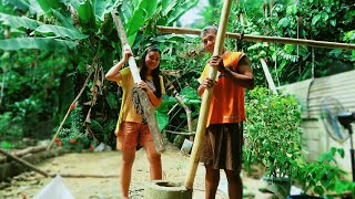 How Black Rice Is Made  Traditional Village Methods [upl. by Rossie]