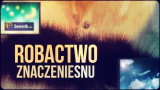 Sennik Robactwo  Interpretacja Snów o Owadach i Robactwie  Sennikbiz [upl. by Porte909]