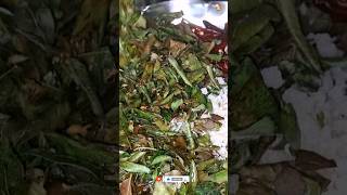 Karivepaku Podi in Telugushorts reels food subscribe yt ytshorts telugufoodlovers indianfood [upl. by Yeknarf]