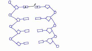 335 Draw a simple diagram of DNA structure [upl. by Tallulah430]