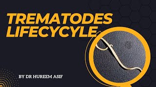 Trematodes life cycle  Veterinary parasitology  Helminths [upl. by Lon830]