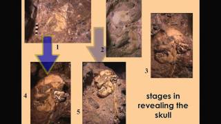 CARTA Early Hominids Ronald Clarke  quotLittle Footquot Big Find  A Skeleton of Australopithecus [upl. by Asa]