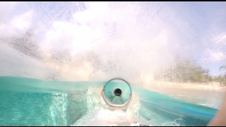 4k Dolphin Plunge  HD POV at Aquatica Waterpark Orlando FL [upl. by Resiak]