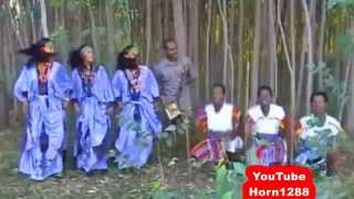 Ethiopian Traditional Music  ዋኘው አሸናፊ  እሪኩም [upl. by Baelbeer423]