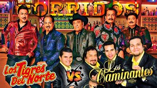 LOS TIGRES DEL NORTE Y LOS CAMINANTES MIX SOLO EXITOS  PUROS CORRIDOS PESADOS PA PISTEAR [upl. by Atinuahs]