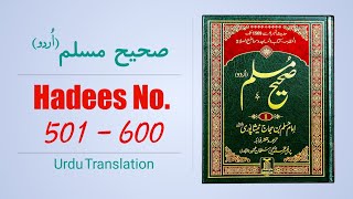 Sahih Muslim Hadees No 501 to 600 Urdu Translation  Sunnat Pak [upl. by Aralc244]