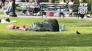 Brazen couple has romp in packed NYC park in full view of kids ‘Society is so f—king gross’ [upl. by Kremer]