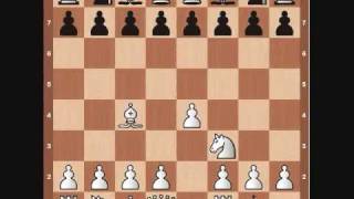 Chess Basics Opening Principles [upl. by Martyn219]