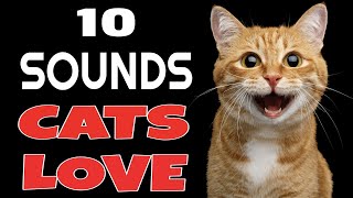 10 Sounds Cats Love To Hear The Most [upl. by Mingche]