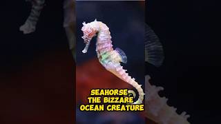 Seahorse The Bizzare Ocean Creature shorts [upl. by Eltotsira845]