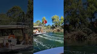 Boat trip at Dalyan river TravelwithHugoF dalyan travelturkey travelshorts [upl. by Ever]