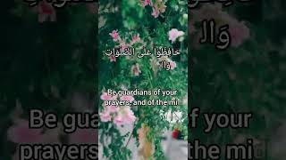 Surah Al Baqarah2238 shorts [upl. by Inan]