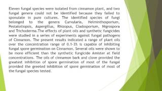 Impact of Plant Oils as Antifungal Activity Against Fungal Pathogens of Cinnamomum Zeylanicum Cinnam [upl. by Yajiv567]