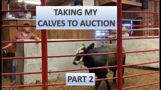 RAISING BEEF CATTLE FOR BEGINNERS – Taking My Calves to Auction Part 2 [upl. by Aisital]